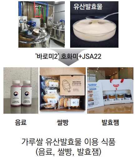 가루쌀 유산발효물 이용 식품 (음료, 쌀빵, 발효잼)